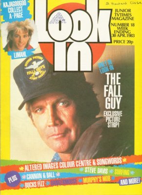 Look-in cover